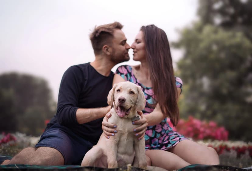 Our furry family member